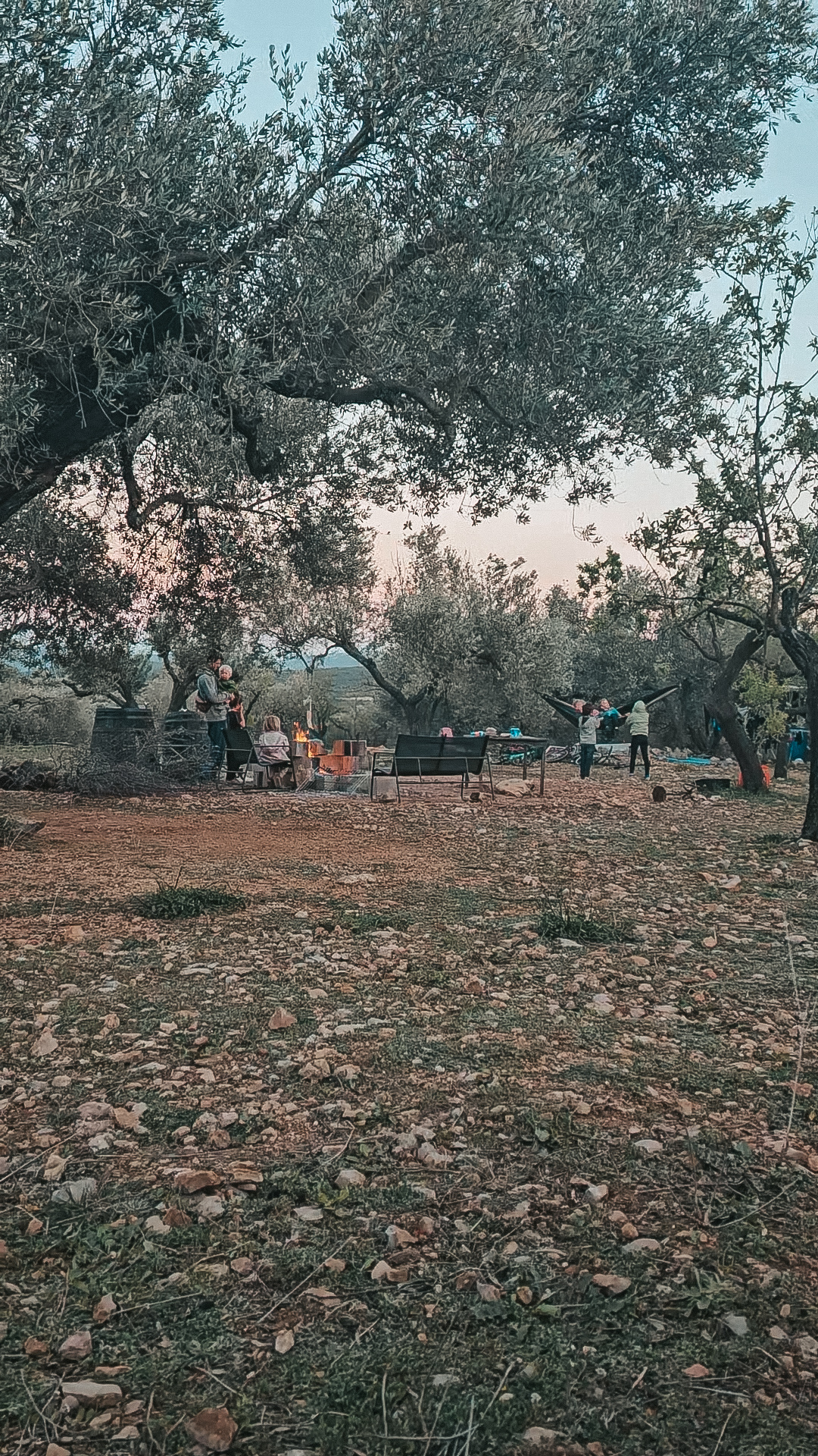 Gemeinschaft am Lagerfeuer auf der Finca Armonia